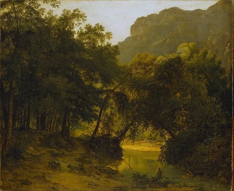 Paesaggio boschivo